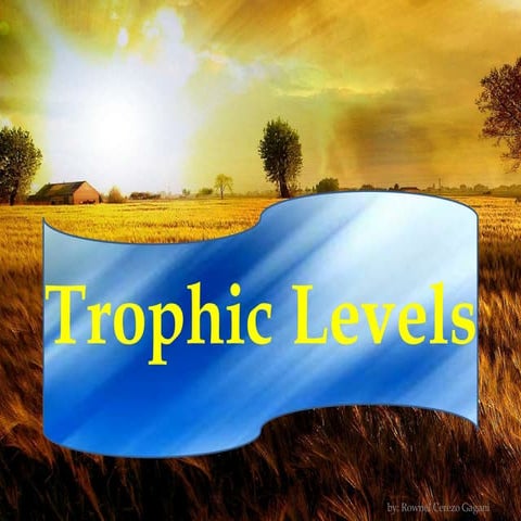 Trophic Levels, Bioenergetics, Chemical Energy and ATP
