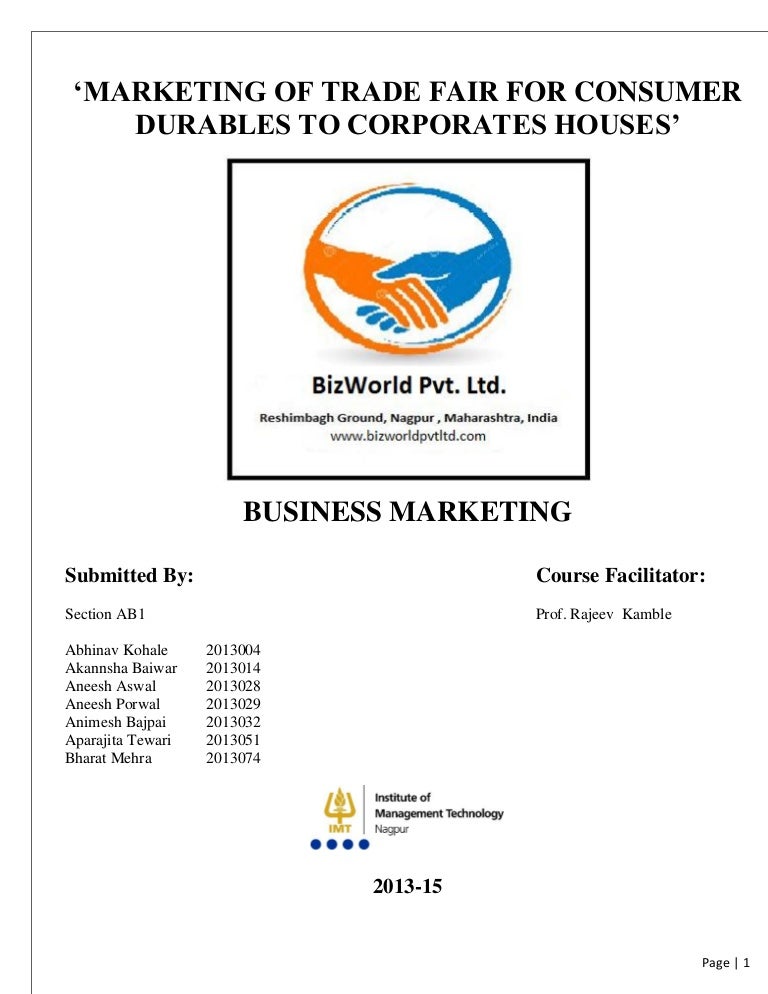 Dissertation report on consumer durables