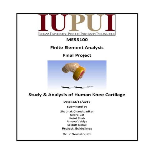 Desgin and Analysis of Human Knee Cartilage | DOCX