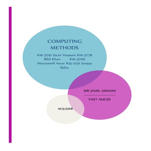 Numerical Integration Project Report
