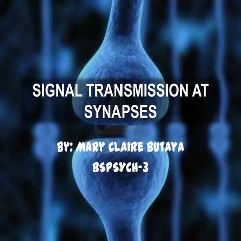 Signal transmission at synapses