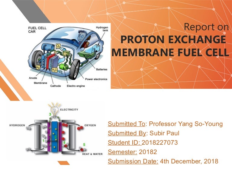 proton exchange membrane fuel cell