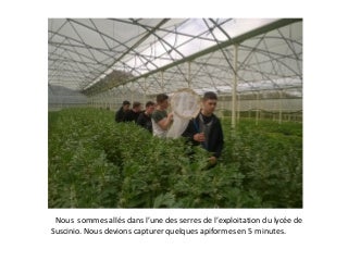 wannonce morlaix wannonce morlaix