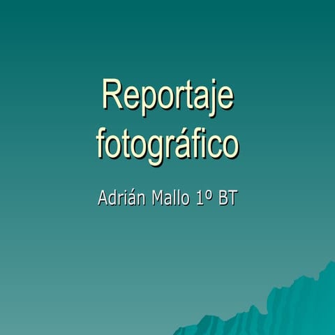 Reportaje Fotográfico