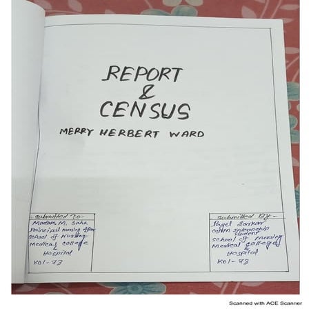 report an census.pdf