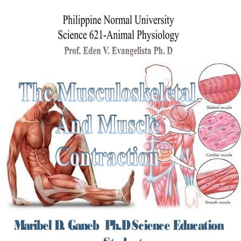 Musculoskeleton | PPT