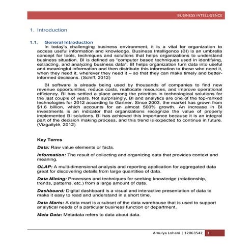 Business Intelligence