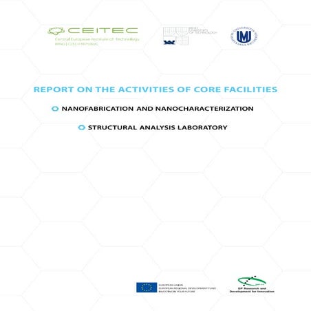 REPORT on the Activities of Core Facilities