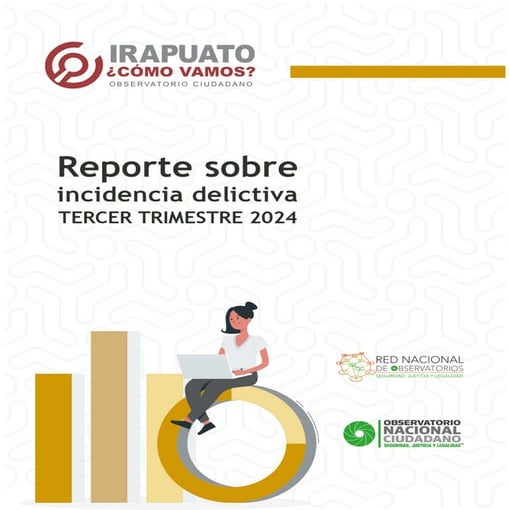Reporte incidencia delictiva 3er trimestre del 2024