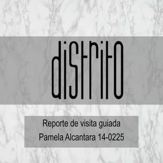 Reporte visita a showroom distrito