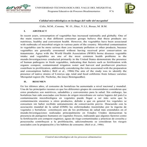 Reporte de lechuga (1)