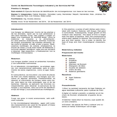 Reporte de práctica 8. Hongos