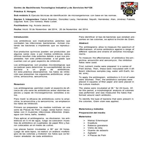 Reporte de práctica 9. Antibiogramas.