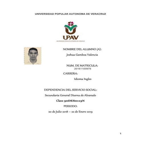 Reporte final de servicio social | PDF