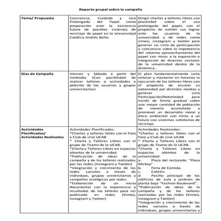 Reporte grupal sobre la campaña