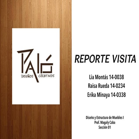 Reporte Visita Paló
