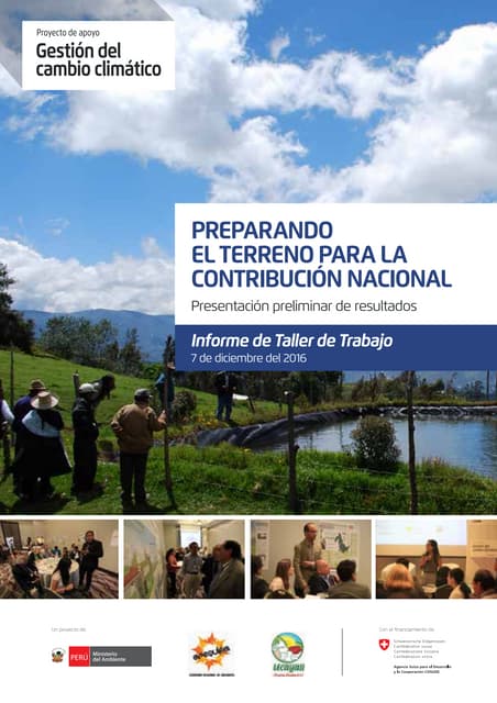 Reporte presentación preliminar de resultados