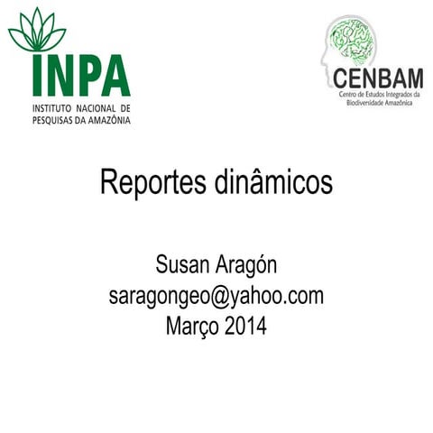 Workshop  em Reportes dinamicos
