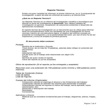 Reporte Tecnico