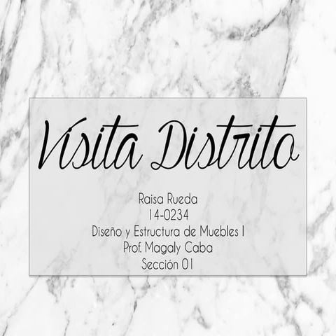 Reporte Visita Distrito 