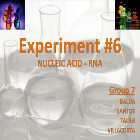 Report exp 6 and 7 (DNA and RNA)