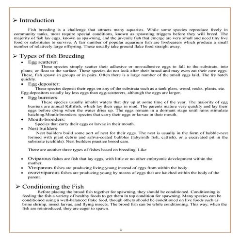 Breeding Report of angle