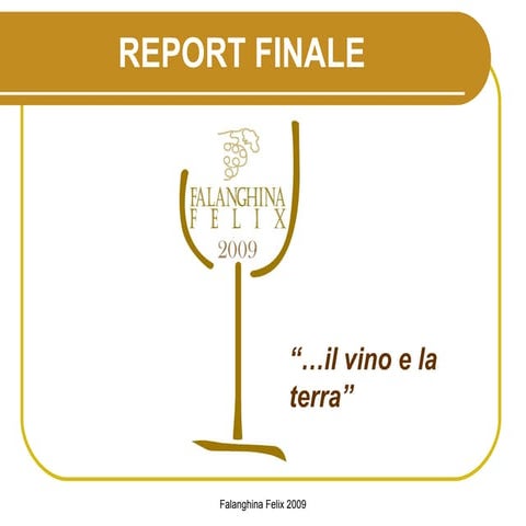 Falanghina Felix 2009 -Report finale