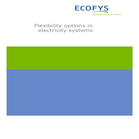 Flexibility Options in Electricity Systems