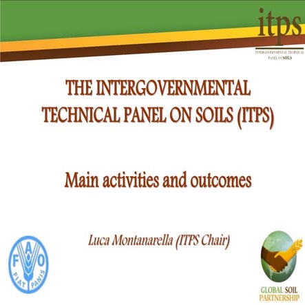 Intergovernmental Technical Panel on Soils: Chairperson's report | PDF