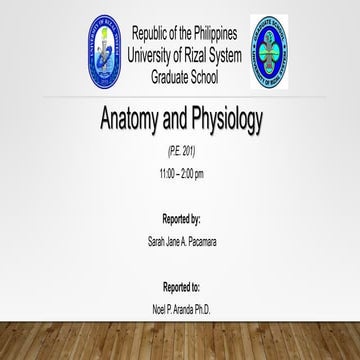 Anatomy and Physiology (basketball)