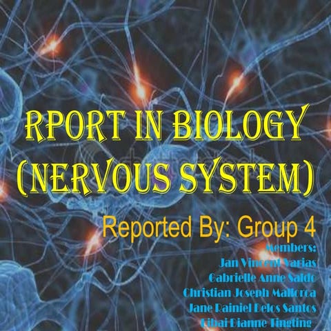 Report in biology (nervous system)