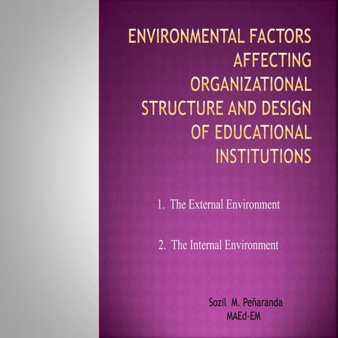 Report in  external environment