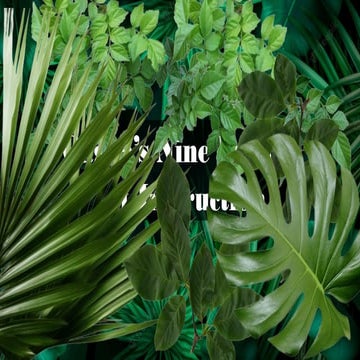 Gagne’s Nine Events         of Instruction