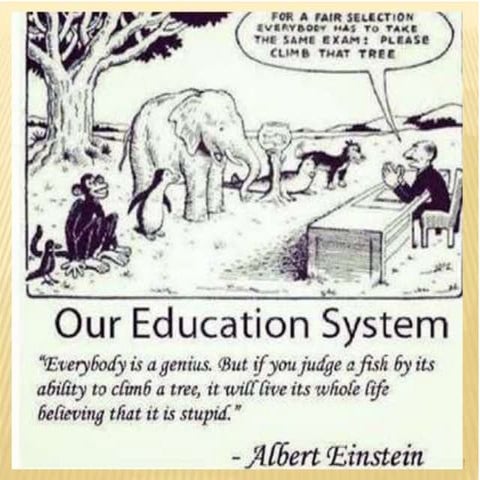 Experimental Learning