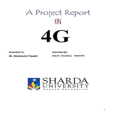 Report on 4 g