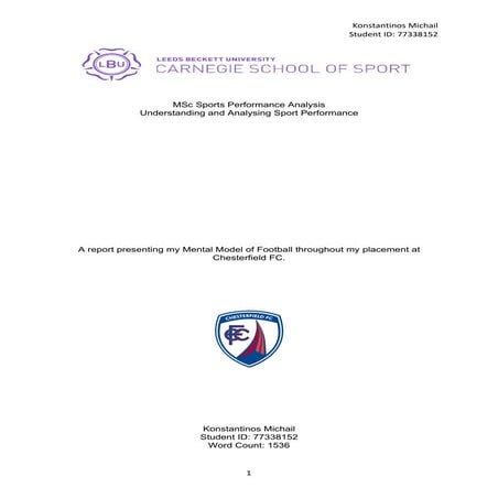 Report on a Mental Model.pdf