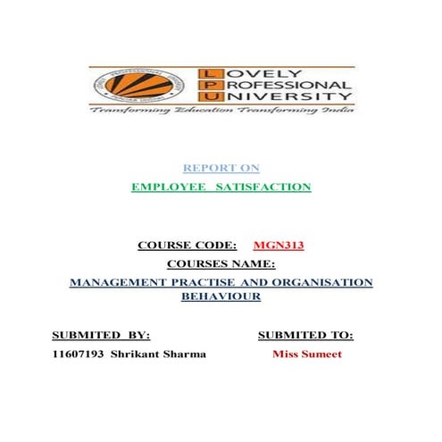 Report on employee satisfaction