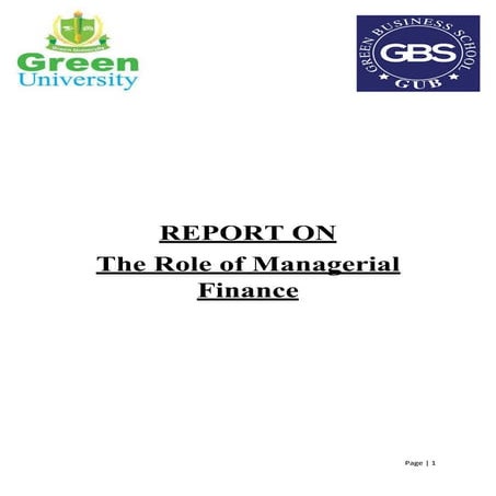 Report on The Role of Managerial Finance 