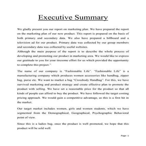 Report on new product marketing plan