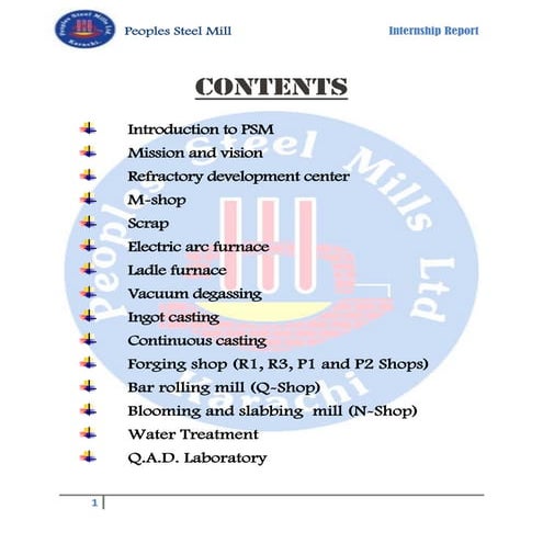 Report of Pakistan Steel Mill