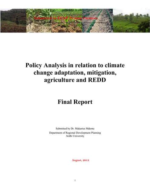 Policy Analysis in relation to climate change adaptation, mitigation, agriculture and REDD