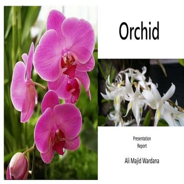 Text Report For presentation orchid by ali majid | PPTX