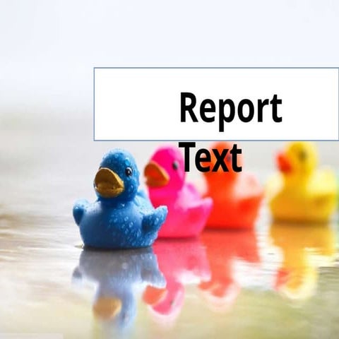 REPORT TEXT is atext to describe thing in general | PPTX