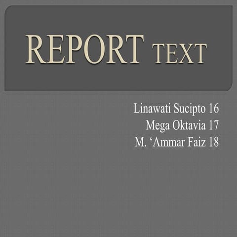 Report Text
