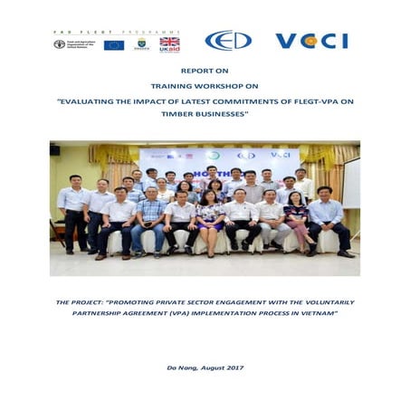 Report vcci 31.10.17 final  eng