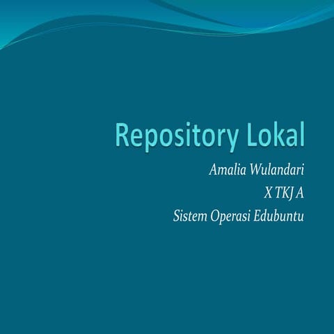 Repository Lokal