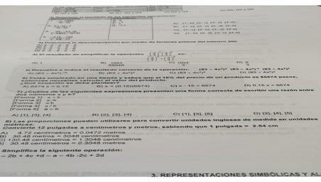 representaciones simbolicas gto 