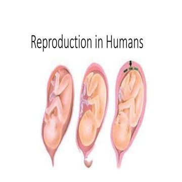Reprodinhumans 170322174812