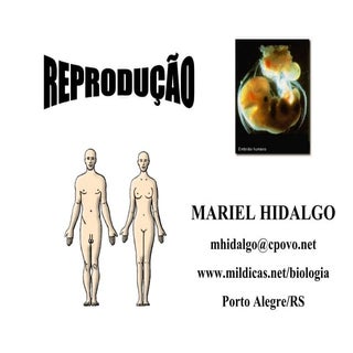Reproducao