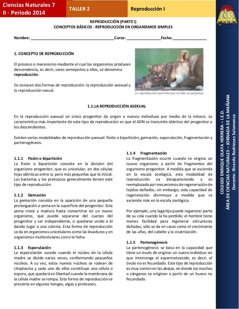 ¿Puedes intercambiar opciones binarias 24/7?